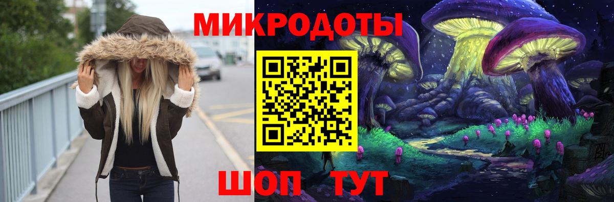 Галлюциногенные грибы Psilocybe Новотроицк