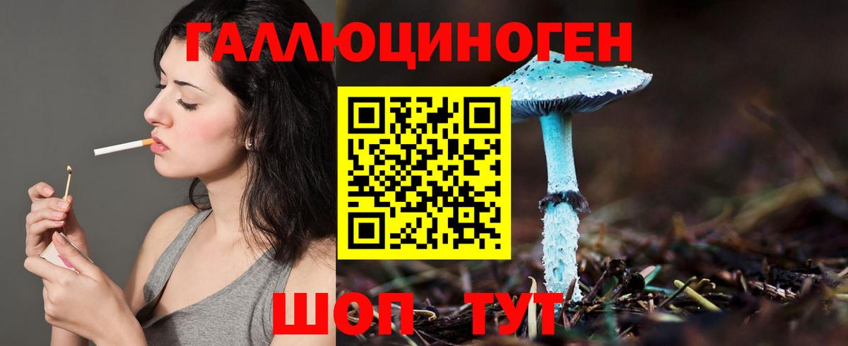 Новотроицк  Псилоцибиновые грибы GOLDEN TEACHER  Вход с VPN  Галлюциногенные грибы прущие грибы 